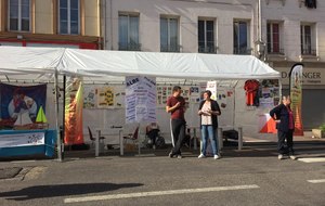 5d0267eb657b3_IMG7310.jpg